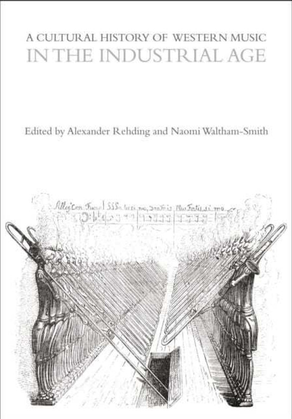 A Cultural History of Western Music in the Industrial Age