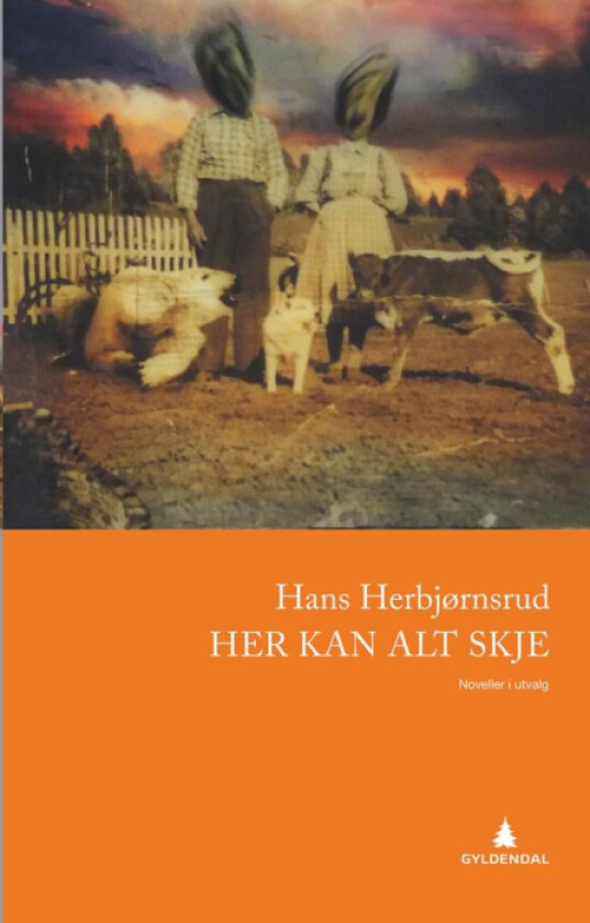 Her kan alt skje av Hans Herbjørnsrud