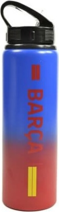 Fade Aluminium Water Bottle