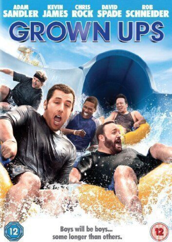 Grown Ups DVD (2011) Adam Sandler, Dugan (DIR) Cert 12 Region 2