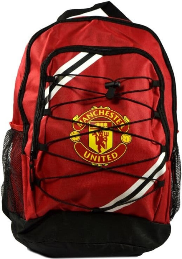 Core Stripe Backpack