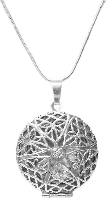 Foto medaljong halskjede i rustfritt stål Sølv