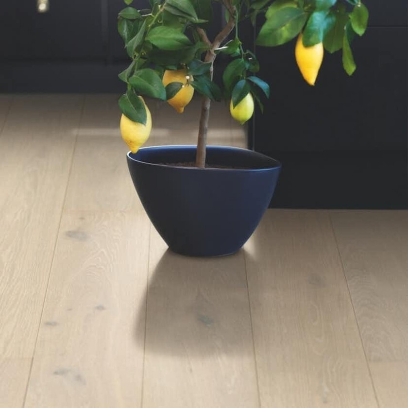 Bilde av Parkett Pergo W1216 Arctic Oak