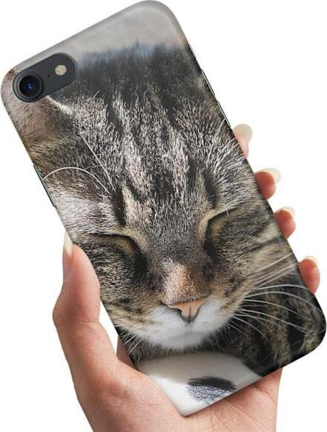 iPhone 7/8/SE - Deksel/Mobildeksel Sovende Katt