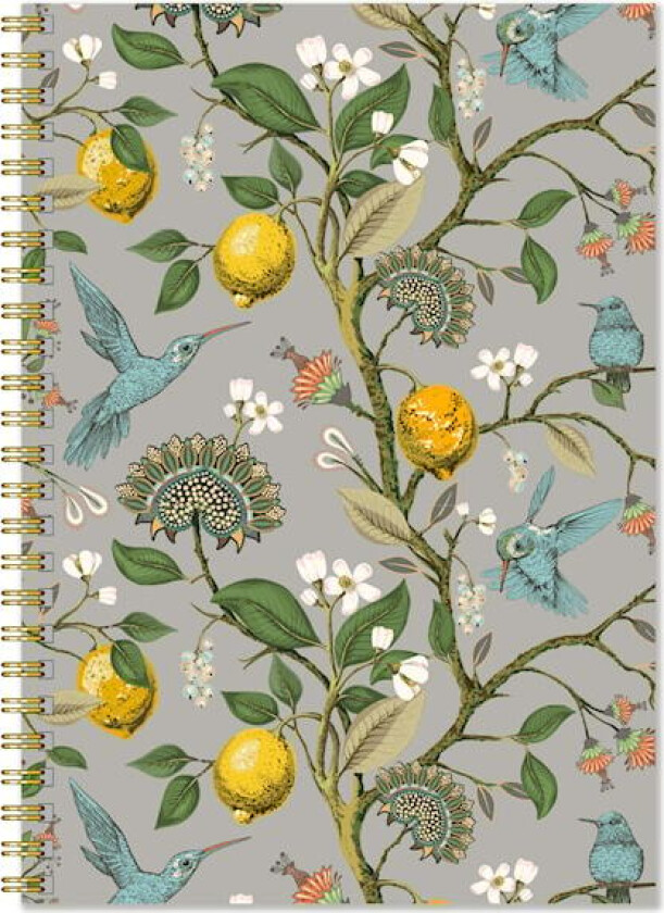 Notatbok A5 Kolibri Linjert 50 sider Gullers