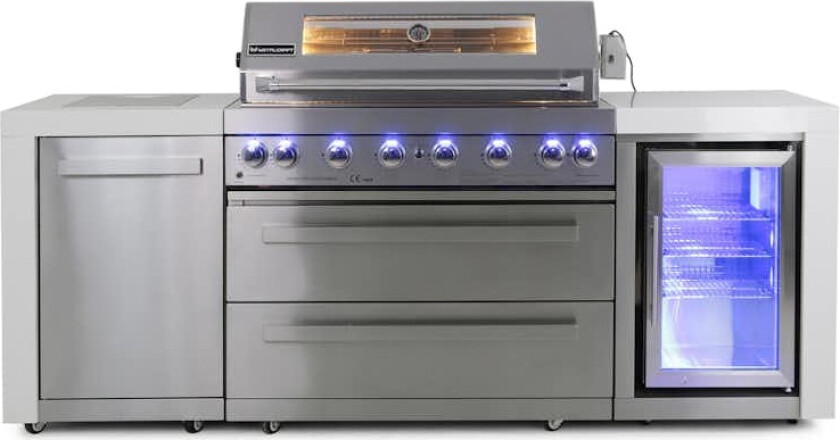 Stor rustfri gassgrill Austin