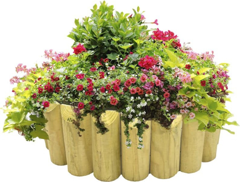 Bilde av Palmako kantbånd 30x200 cm Trykkimpregnert kantbånd som er godt egnet rundt bed i hagen og som kantavslutninger.