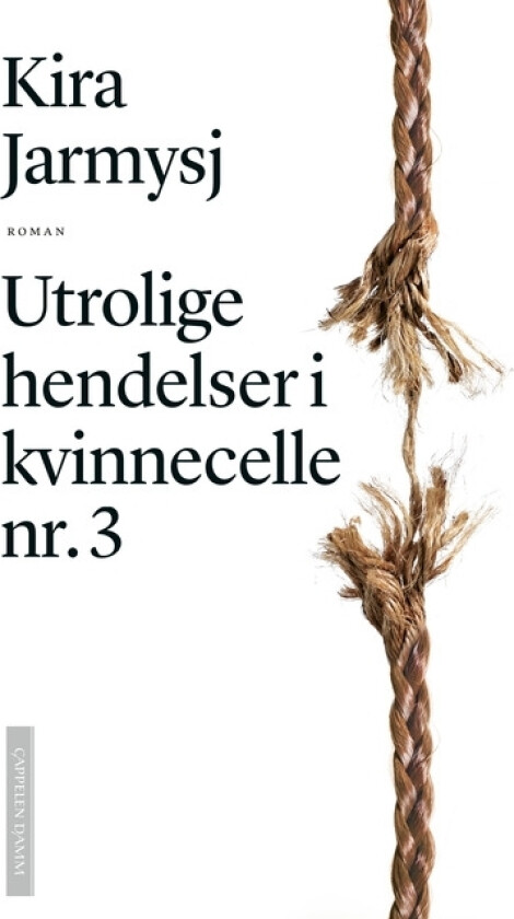 Utrolige hendelser i kvinnecelle nr. 3 av Kira Jarmy¿
