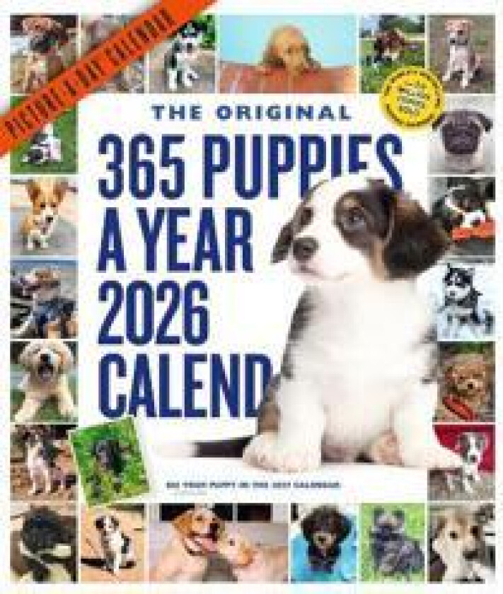 365 Puppies-A-Year Picture-A-Day® Wall Calendar 2026