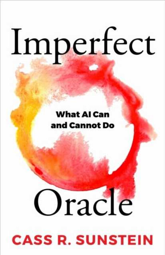 Imperfect Oracle What AI Can and Cannot Do