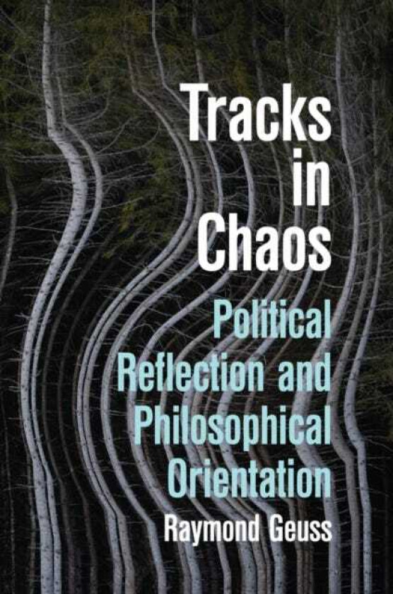 Tracks in Chaos Philosophical Orientation and Political Reflection