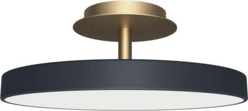 Asteria Plus medium - Grå