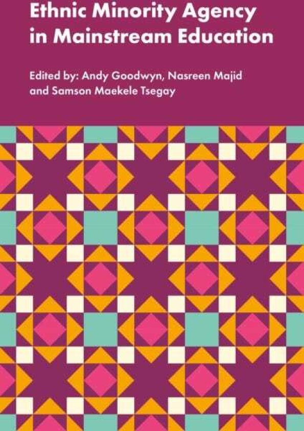 Ethnic Minority Agency in Mainstream Education A Regional Perspective on a National Challenge