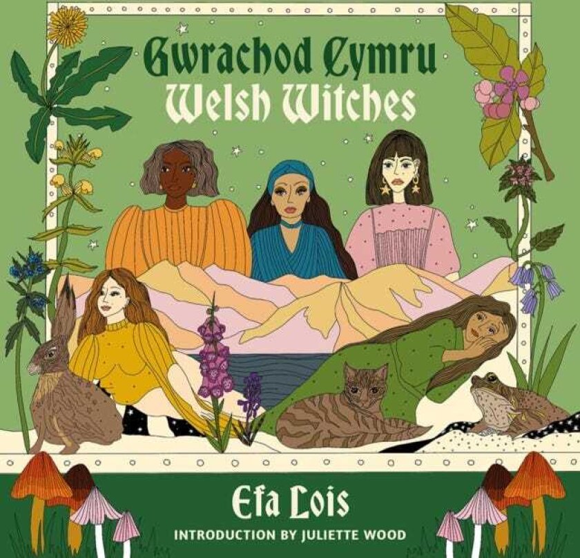 Gwrachod Cymru | Welsh Witches