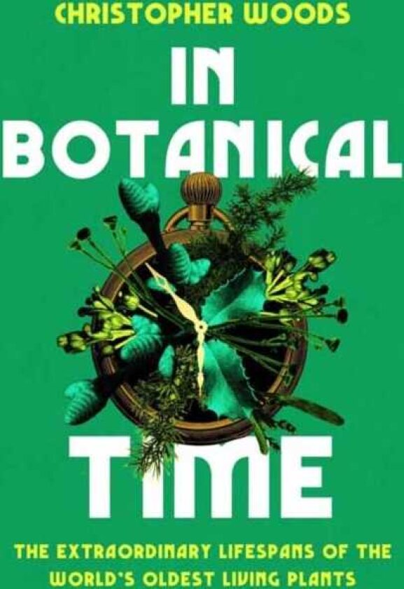 In Botanical Time The Extraordinary Lifespans of the World's Oldest Living Plants