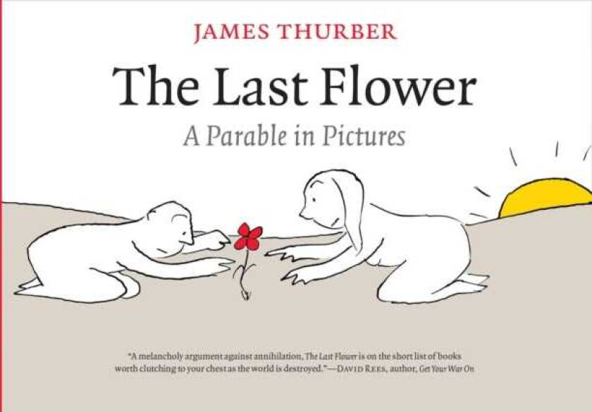 The Last Flower A Parable in Pictures