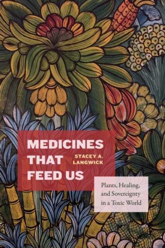 Medicines That Feed Us Plants, Healing, and Sovereignty in a Toxic World