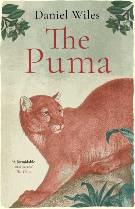 The Puma 'A formidable new talent' The Times