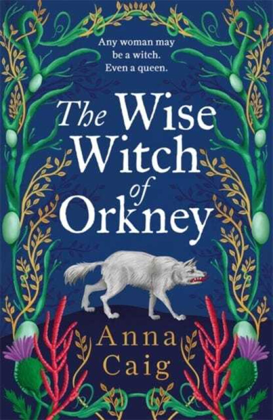 The Wise Witch of Orkney A spellbinding debut novel about Scotland’s witchhunting hysteria
