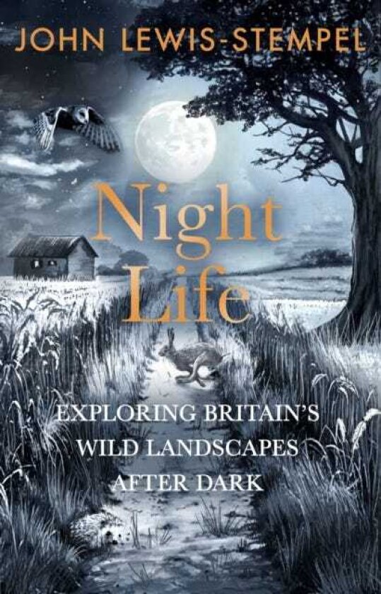 Night Life Walking Britain’s wild landscapes after dark