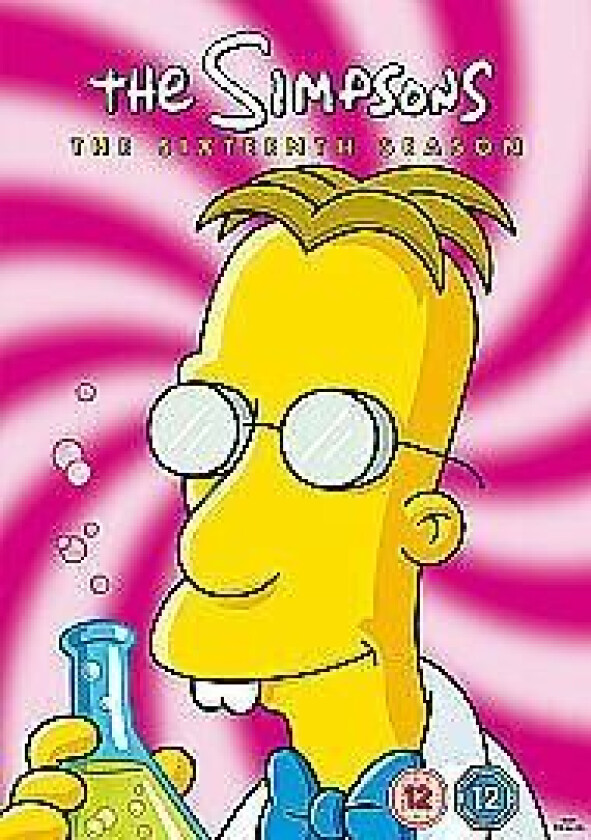 The Simpsons: Complete Season 16 DVD (2013) Matt Groening Cert 12 4 Discs Region 2