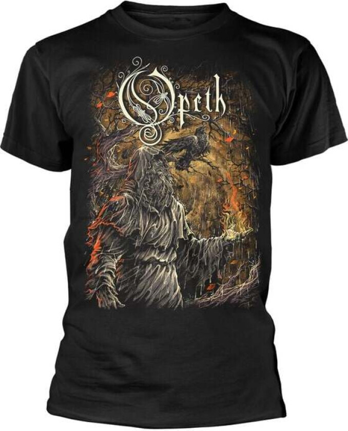 T-skjorte - Apostle In Triumph - S til 3XL - Herrer - svart