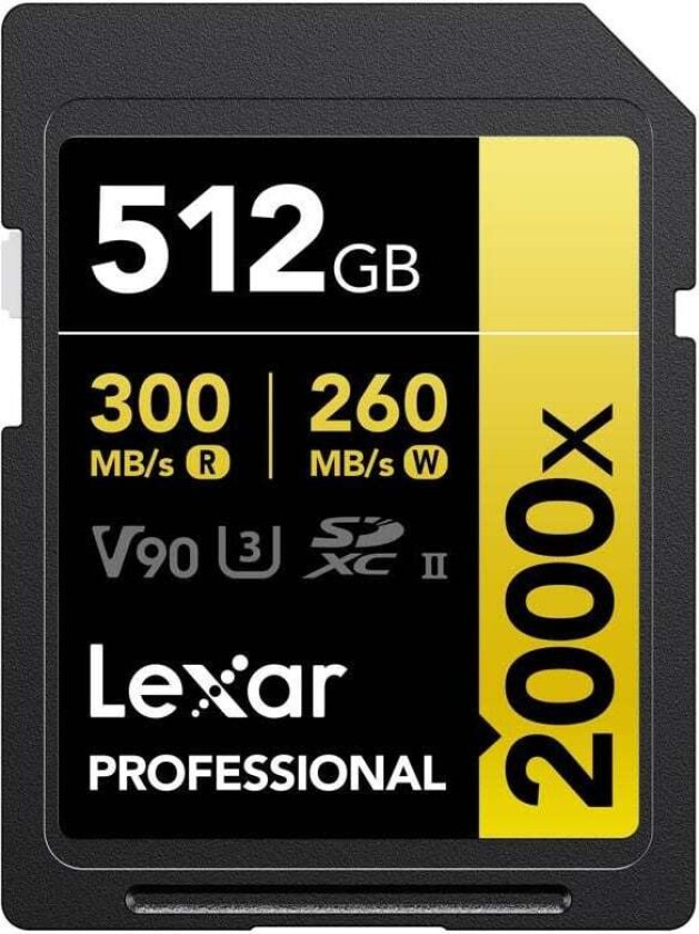 Professional Gold 2000x SD - 300MB/s - 512GB