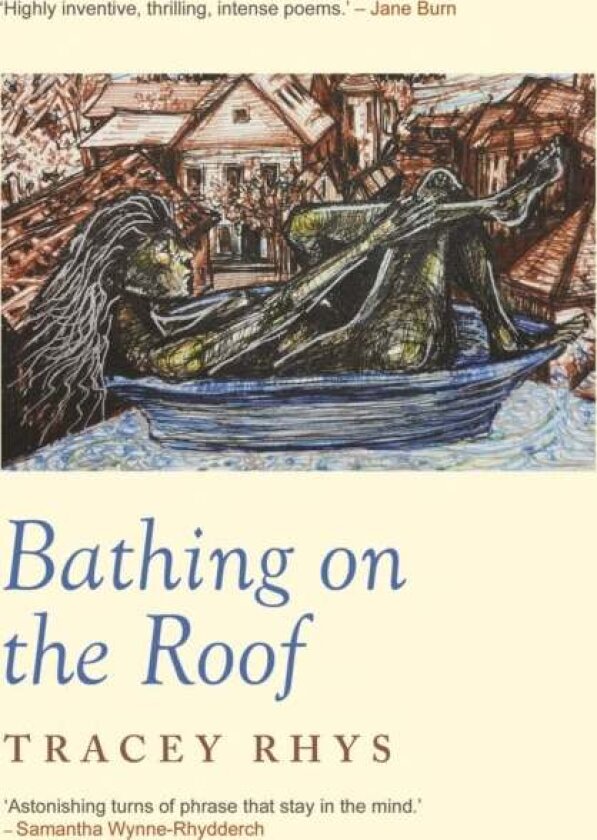 Bathing on the Roof av Tracey Rhys