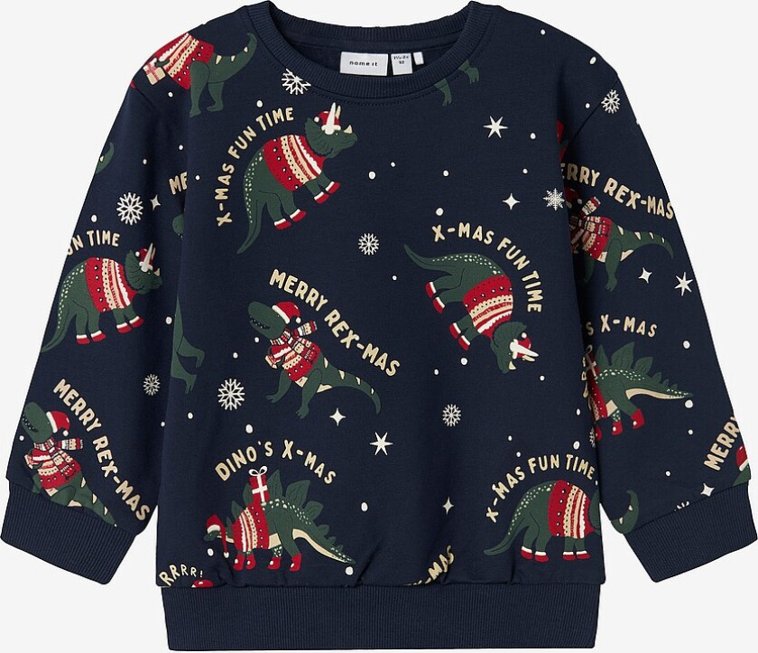 Collegegenser nmmRoka LS Nreg Sweat Bru Box - Blå