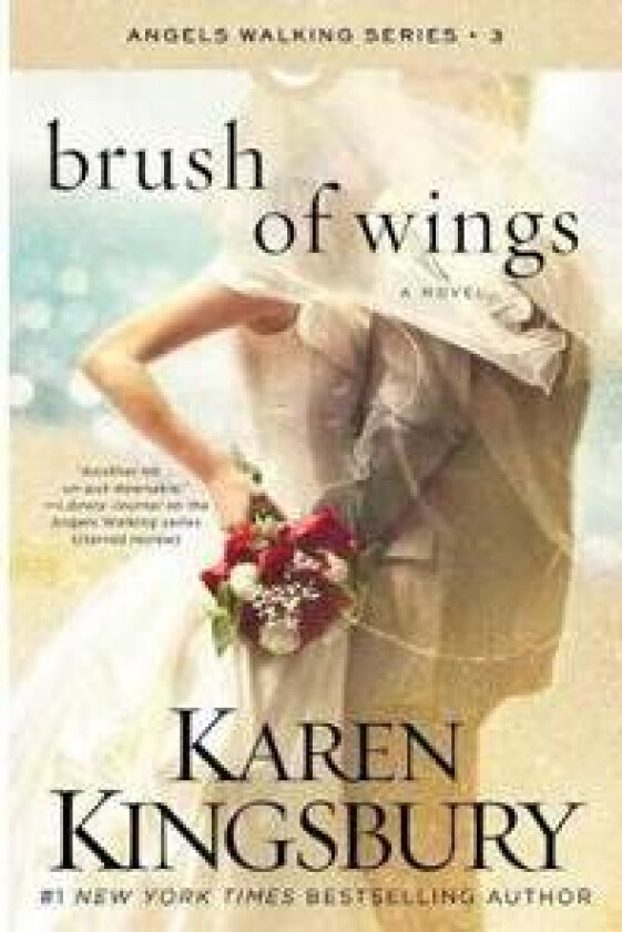 Brush of Wings: A Novel