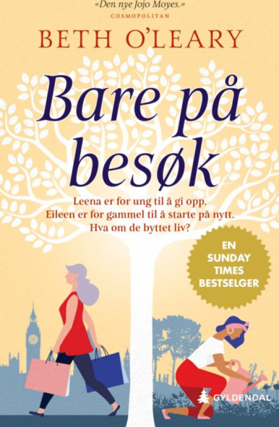 Bare på besøk av Beth O'Leary