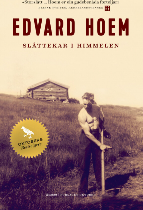 Slåttekar i himmelen av Edvard Hoem