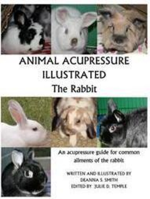 Animal Acupressure Illustrated the Rabbit