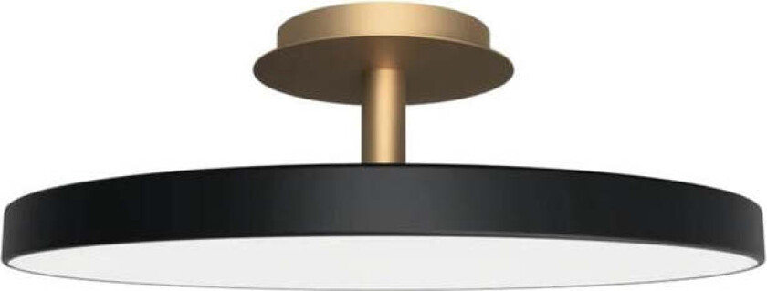 Asteria Plus large - Svart