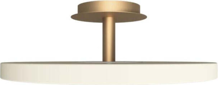 Asteria Plus large - Hvit