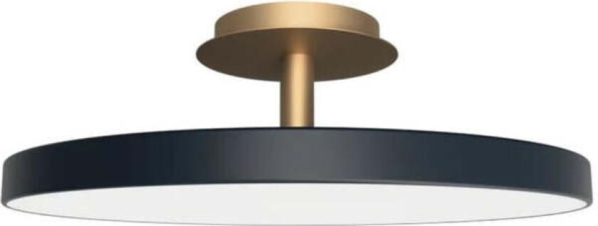 Asteria Plus large - Grå