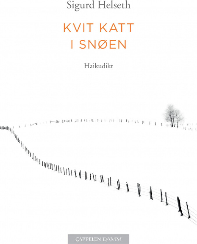 Kvit katt i snøen av Sigurd Helseth