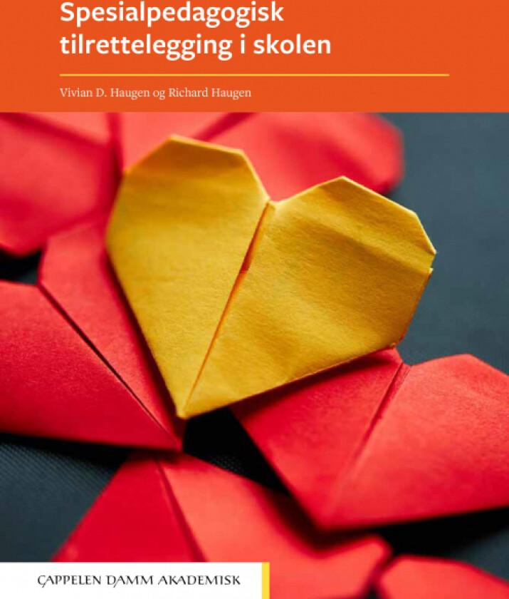 Spesialpedagogisk tilrettelegging i skolen av Richard Haugen, Vivian D. Haugen