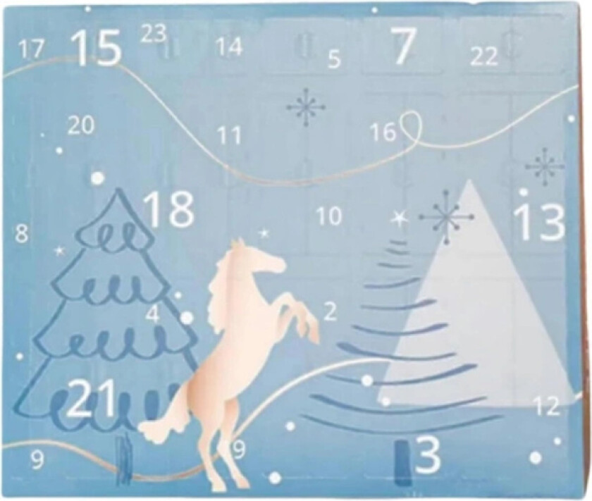 Adventskalender 2025, Adventskalender{REN}