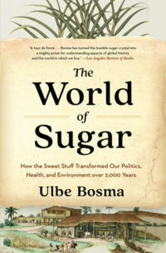 The World of Sugar
