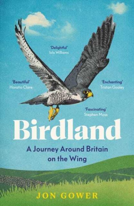 Birdland A Journey Around Britain on the Wing