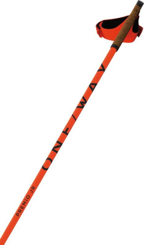 Premio Junior Langrennsstaver, 140 CM