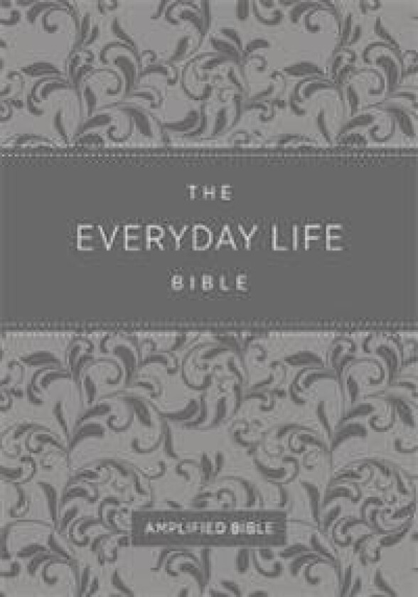 Everyday Life Bible (Fashion Edition: Gray Imitation Leather)