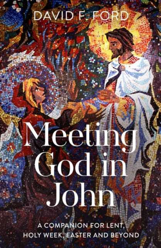 Meeting God in John A Companion for Lent, Holy Week, Easter and Beyond