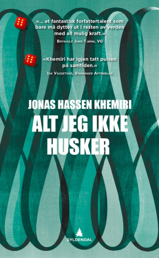 Alt jeg ikke husker av Jonas Hassen Khemiri