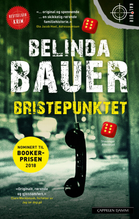 Bristepunktet av Belinda Bauer