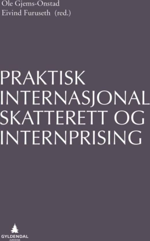 Praktisk internasjonal skatterett og internprising