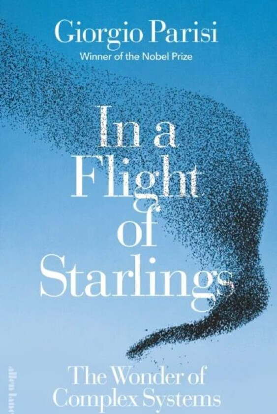 In a Flight of Starlings av Giorgio Parisi