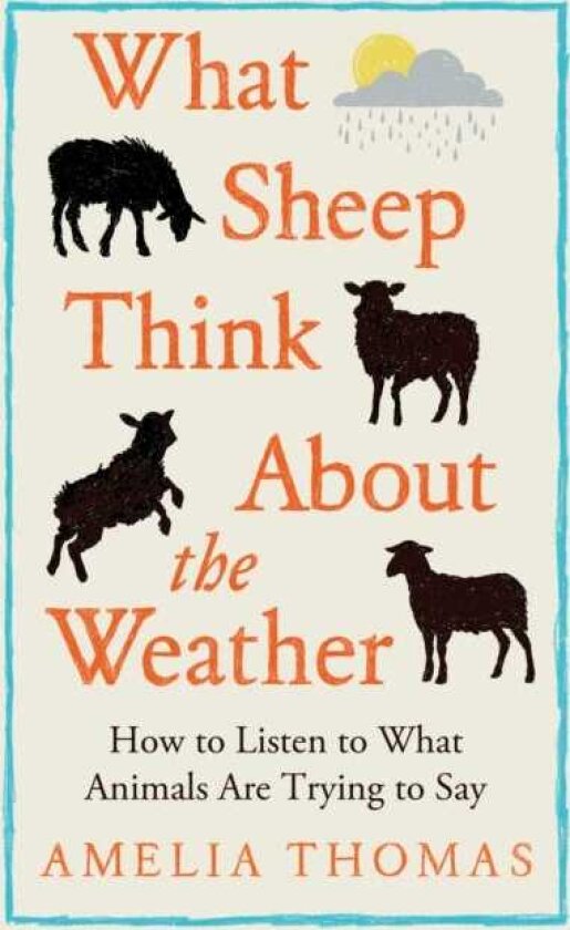 What Sheep Think About the Weather How to listen to what animals are trying to say