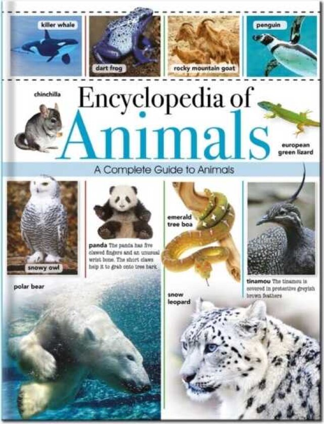 Encyclopedia of Animals A Complete Pictorial Guide to Animals